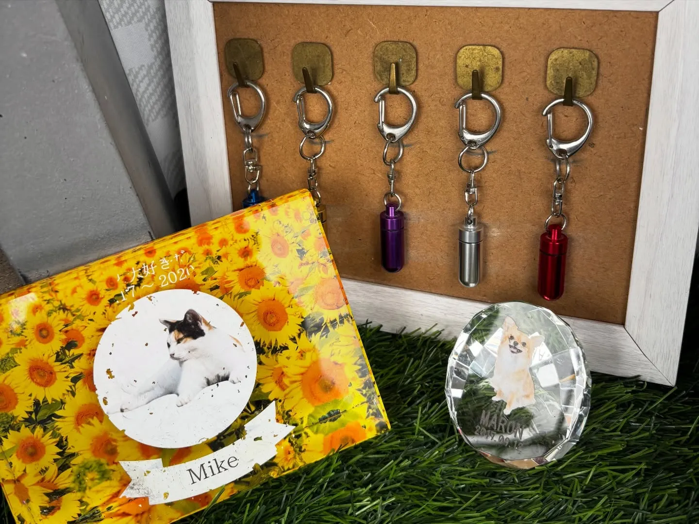 三浦市にて、14年間ともに過ごされた大切なチワワちゃんのペッ...