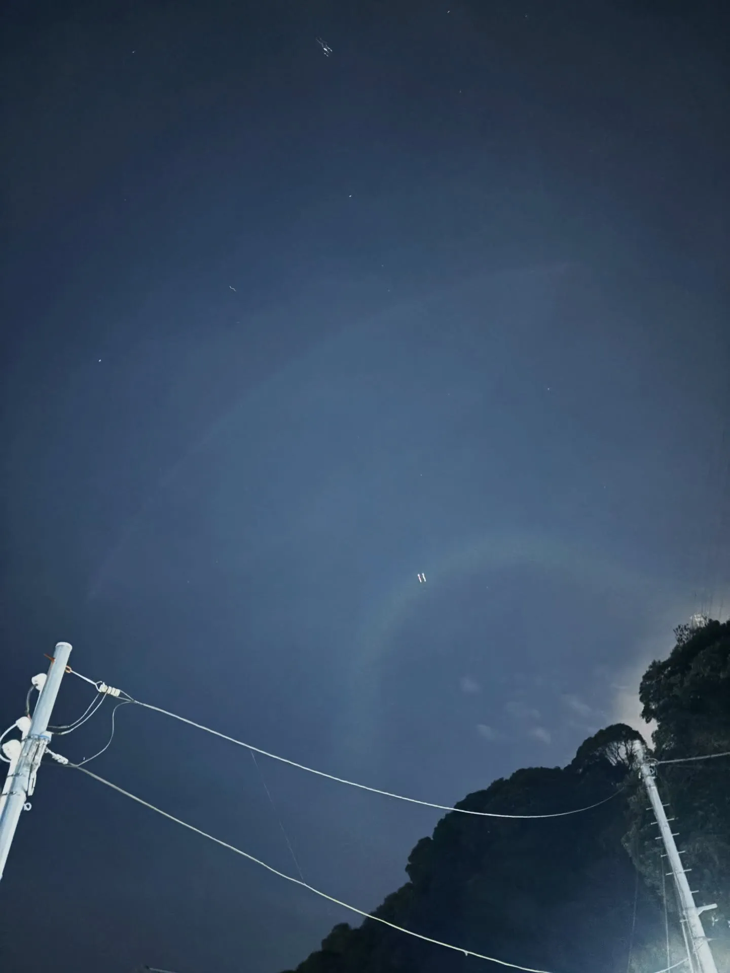 神奈川県横須賀市において、大切な家族の一員であったわんちゃん...