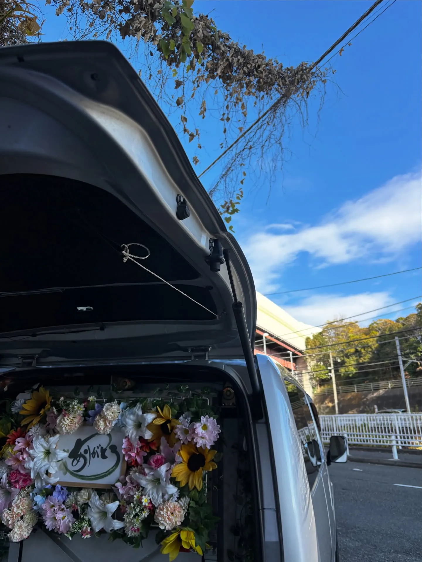 神奈川県横浜市にて、愛されていたわんちゃんを虹の橋へと送り出...