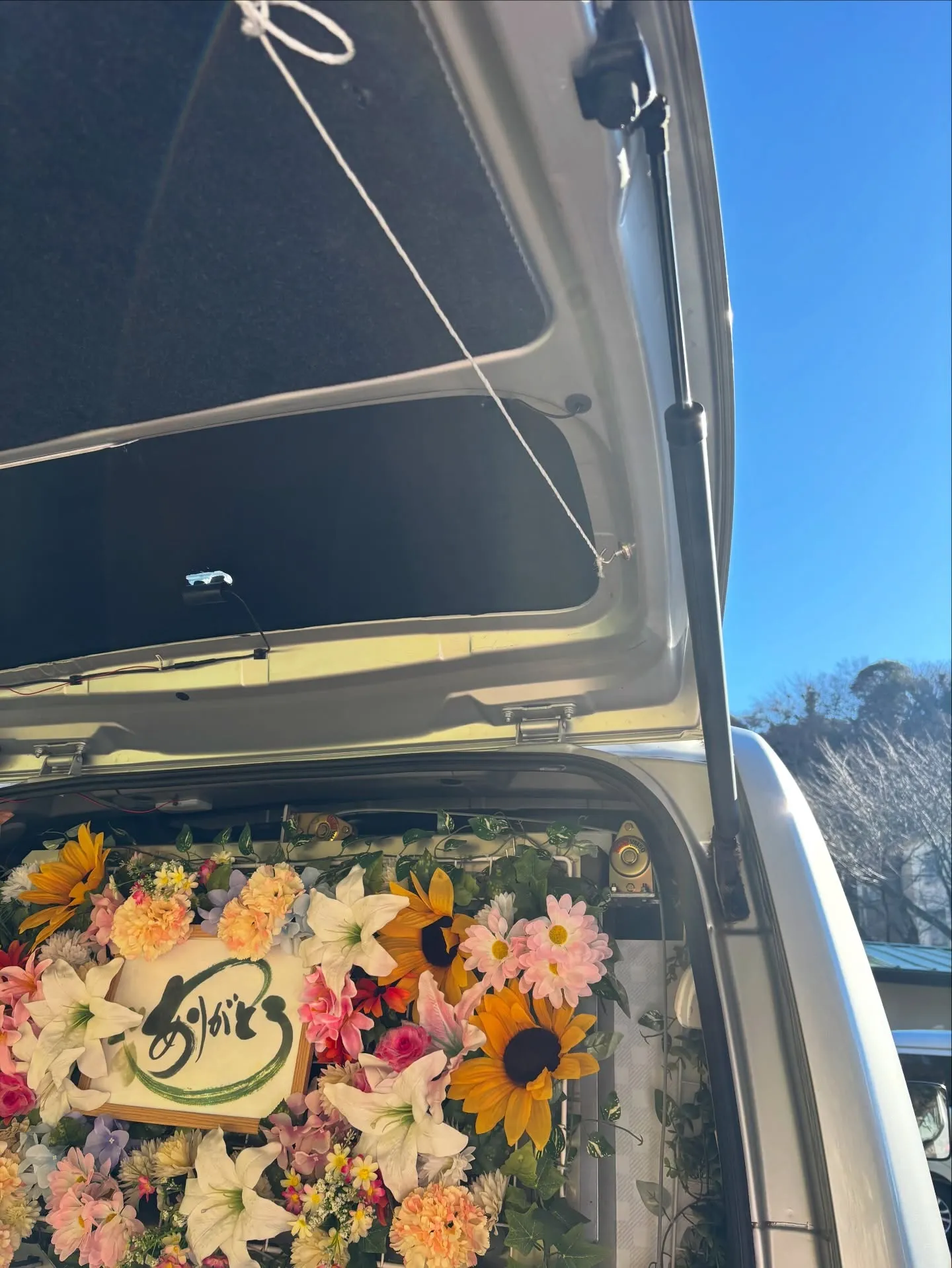 逗子市にて、大切なご家族の一員でもある猫ちゃんのお見送りをお...