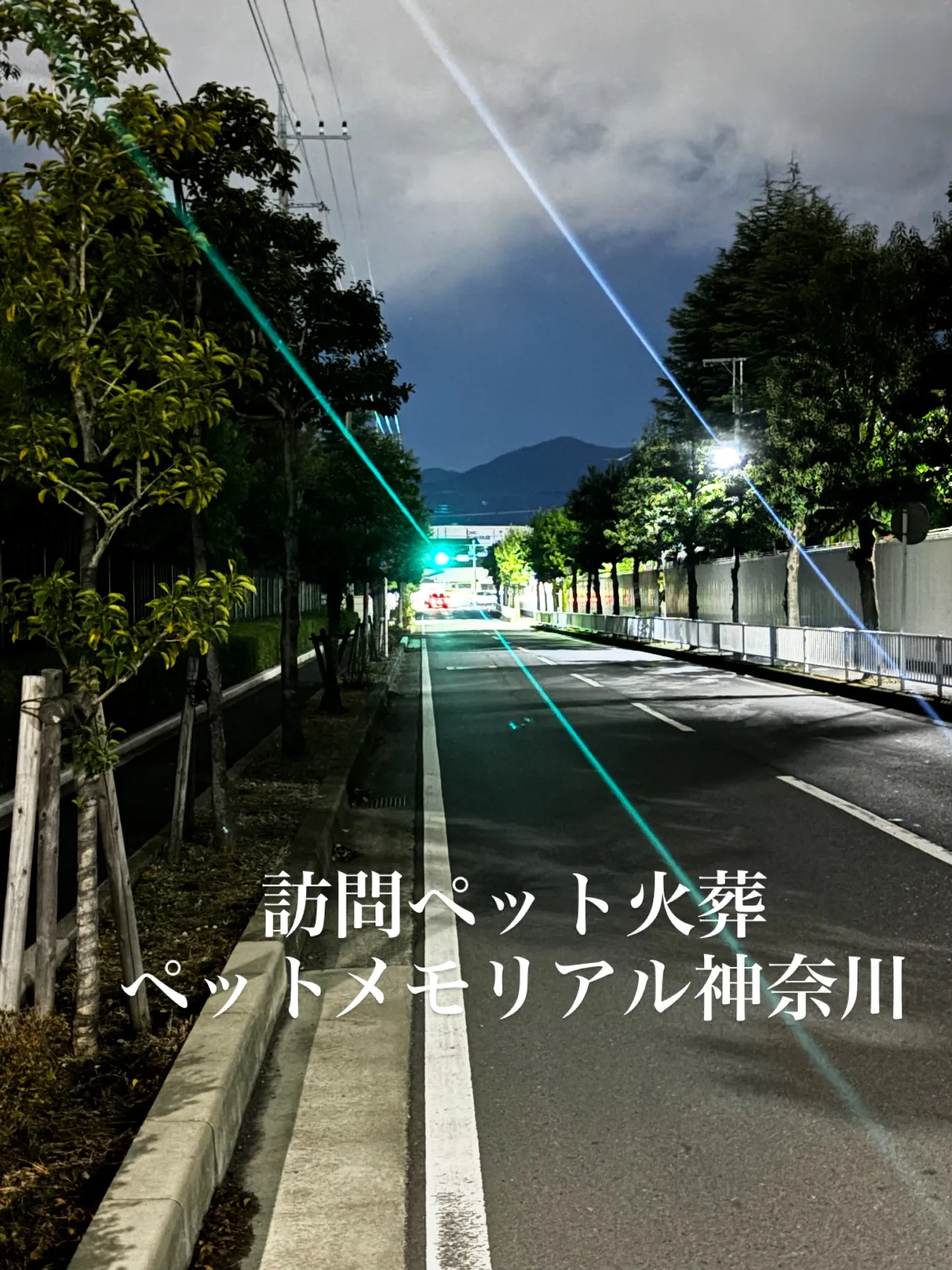 訪問ペット火葬は、愛するペットとの最後のお別れを心温まる方法...