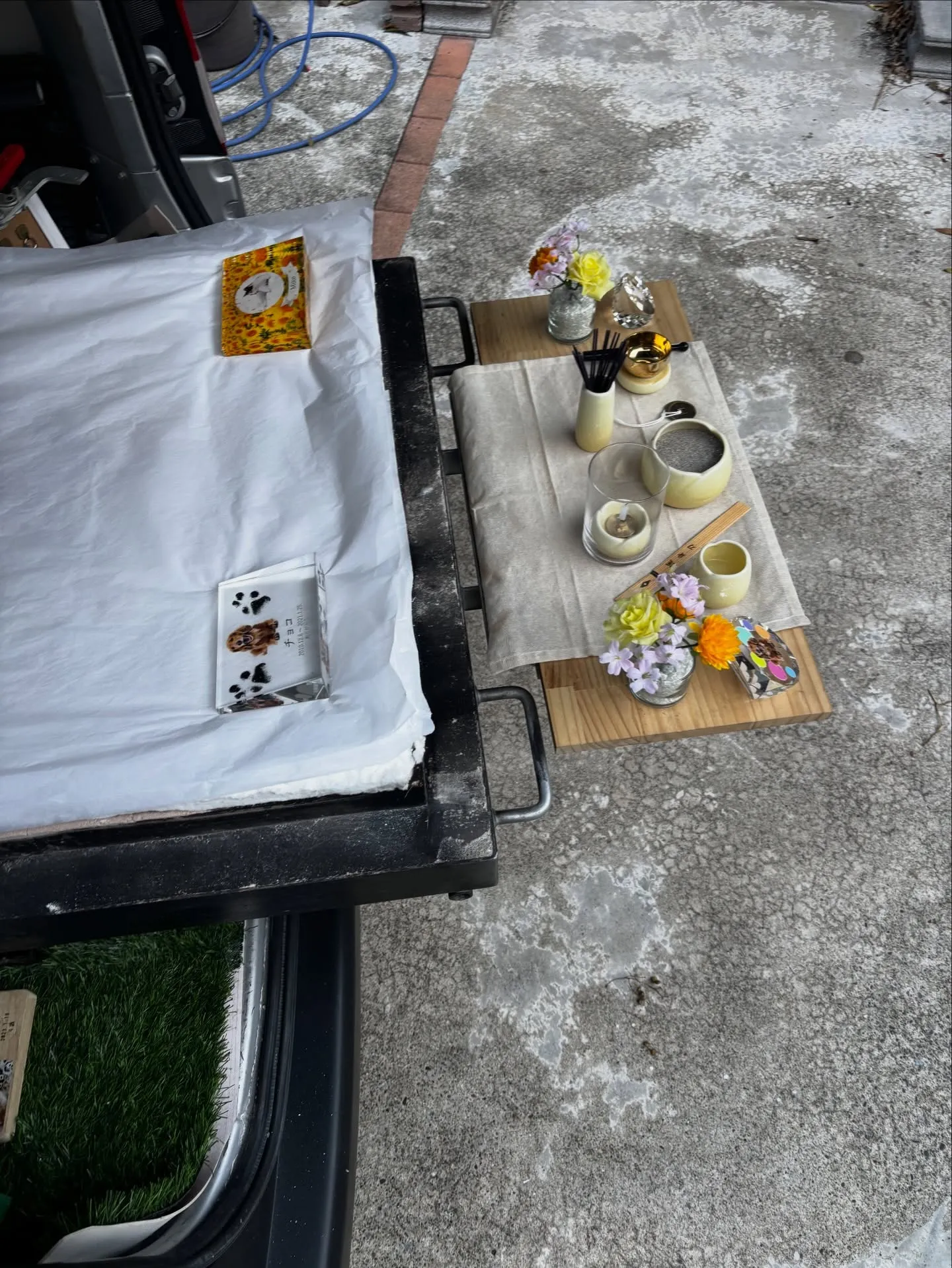 神奈川県横須賀市にて、大切な家族の一員である愛くるしいわんち...