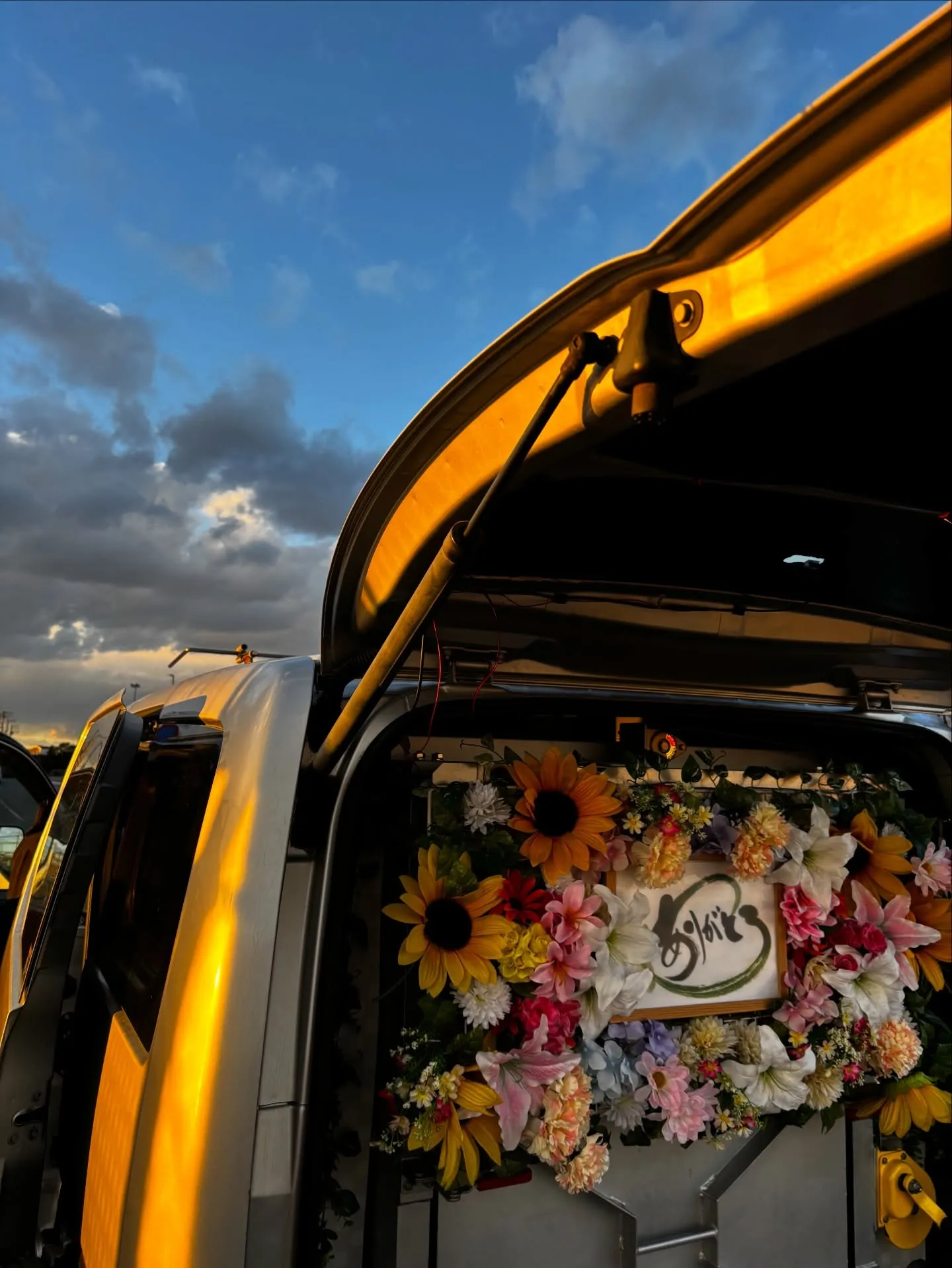 横須賀市にお住まいのリピーター様のご家族の一員であった猫ちゃ...