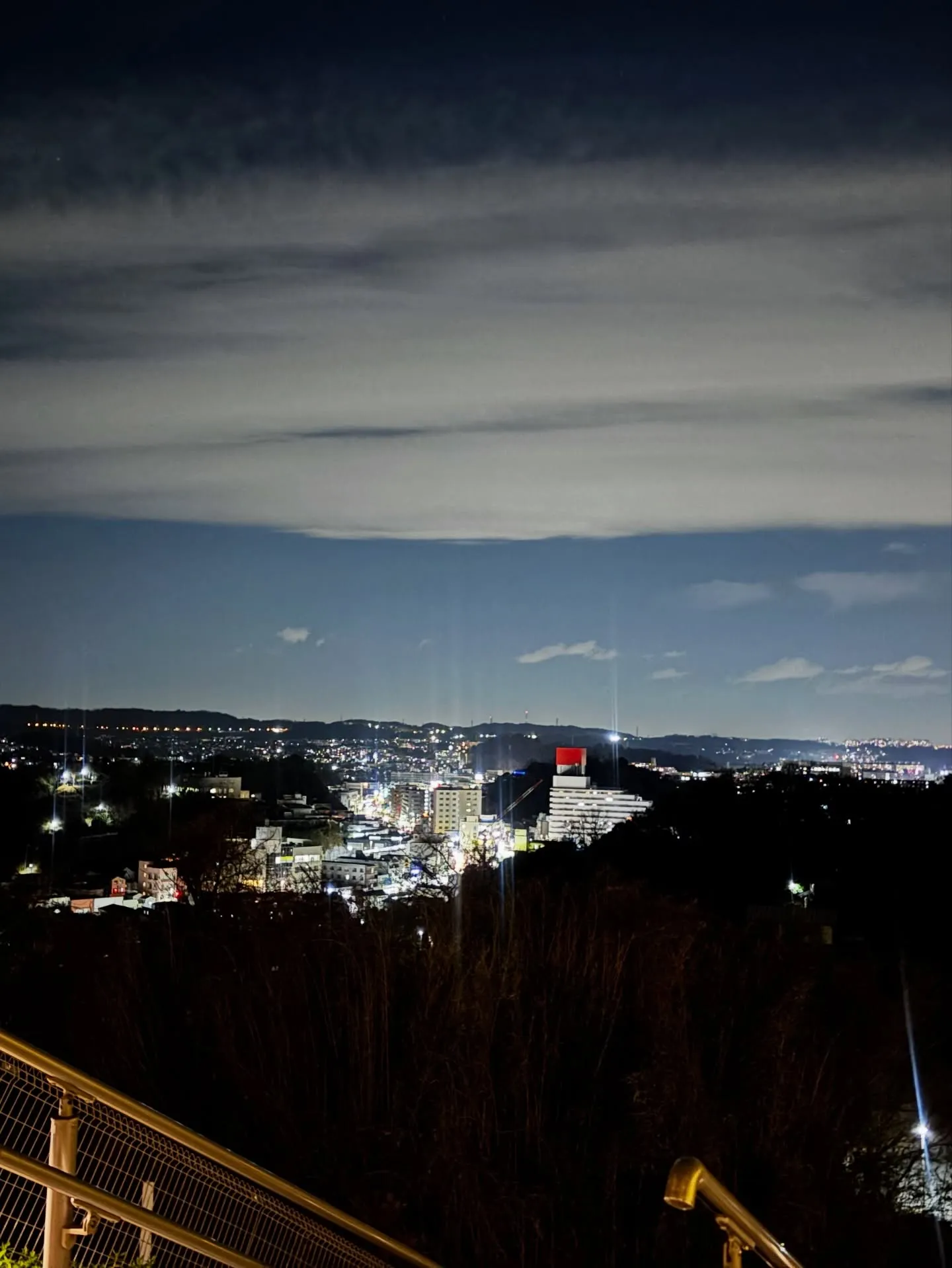 横須賀市にて、愛されてきたうさぎさんのペット火葬のお手伝いを...