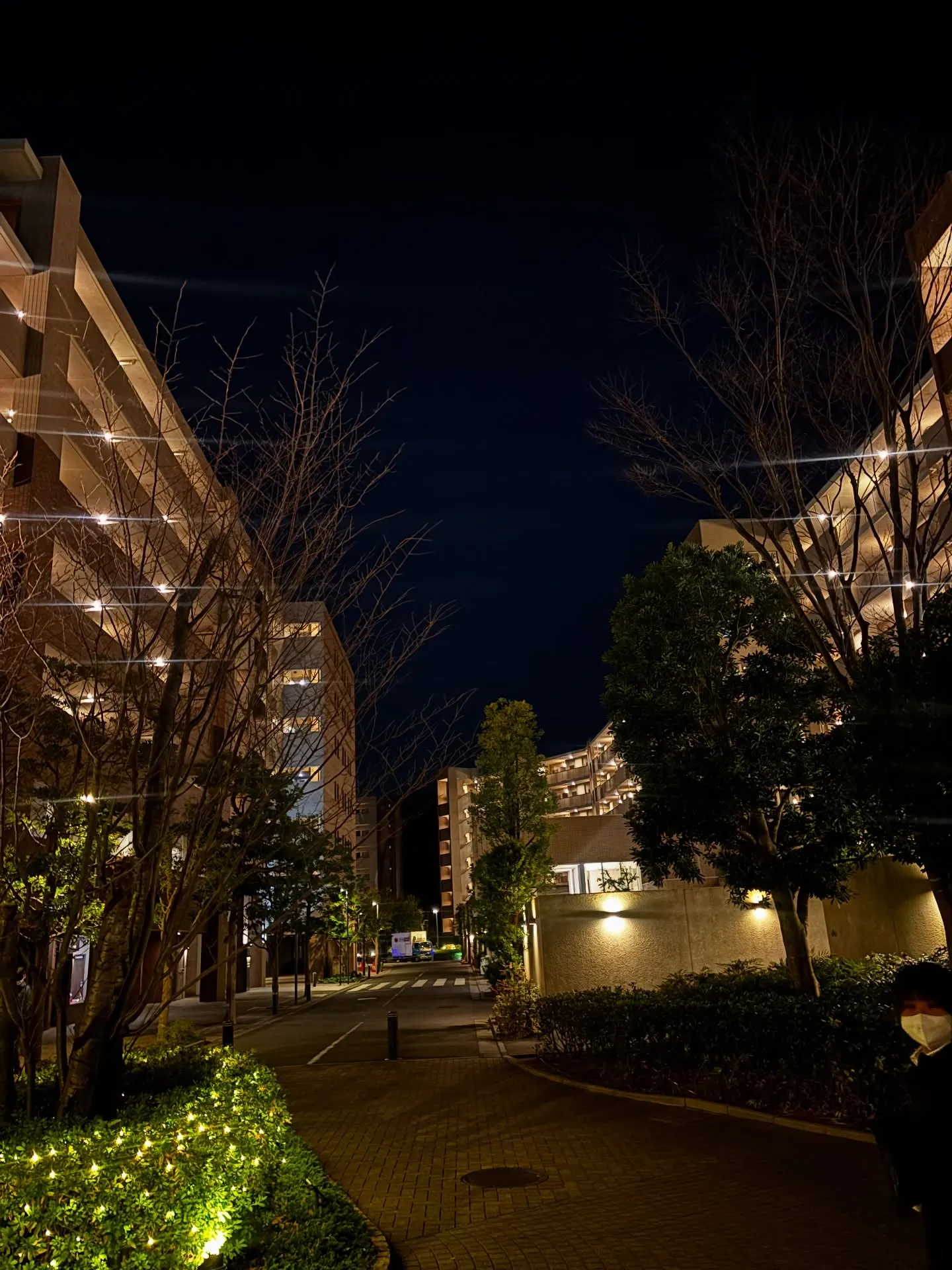 横須賀市にて、愛されてきたうさぎさんのペット火葬のお手伝いを...