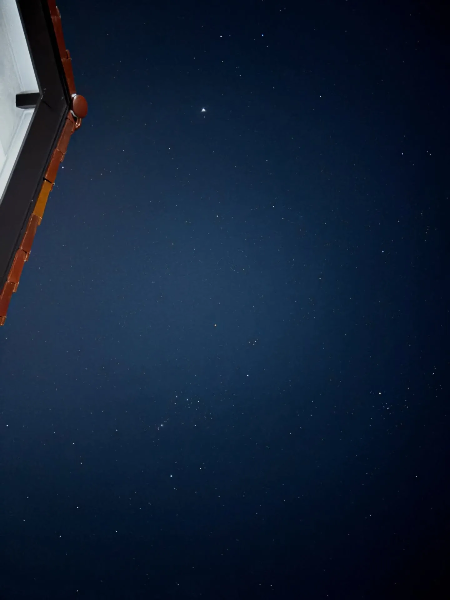 ペットを愛する皆様へ。