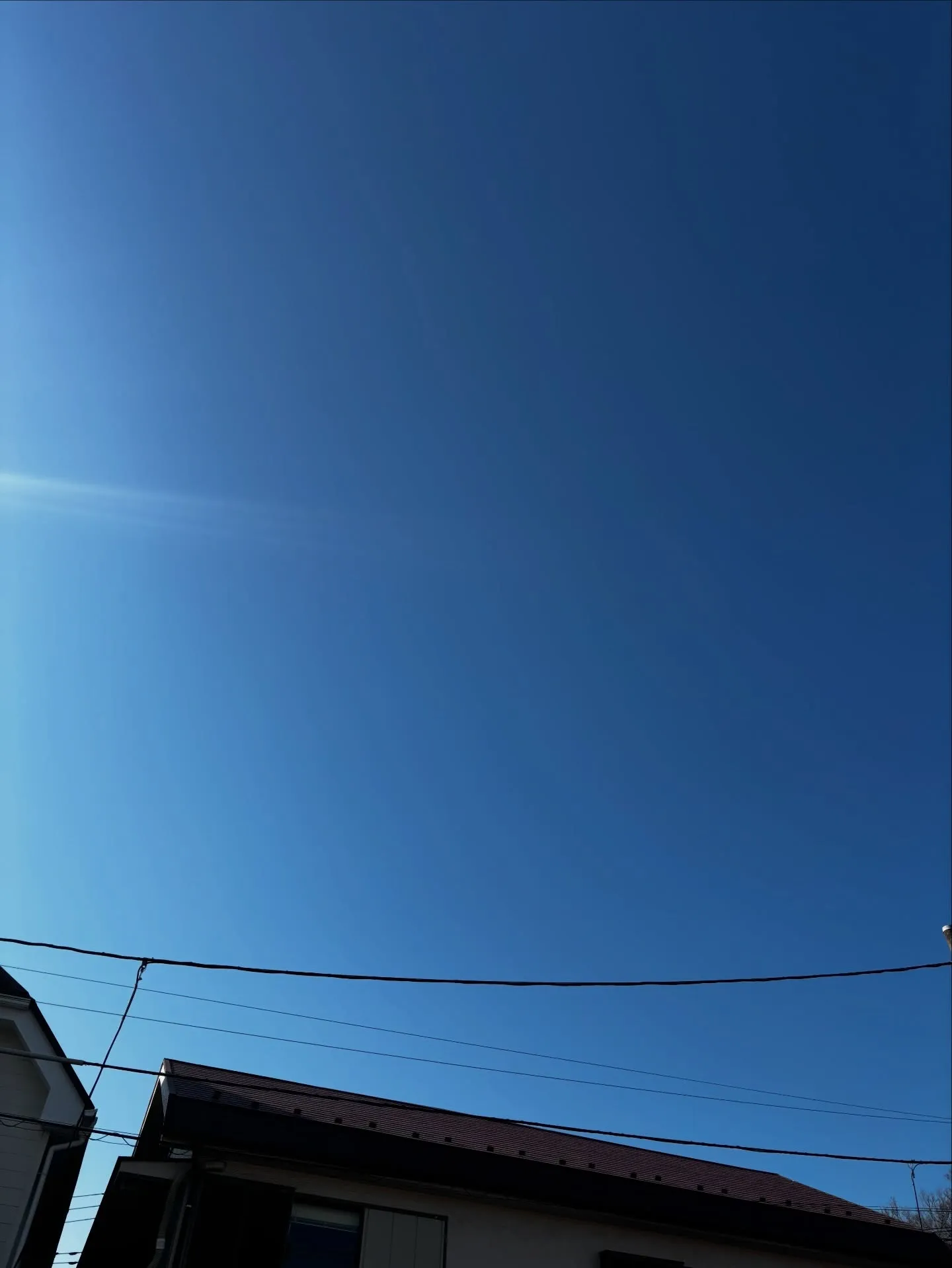 神奈川県横浜市において、大切なハムスターちゃんのペット火葬に...