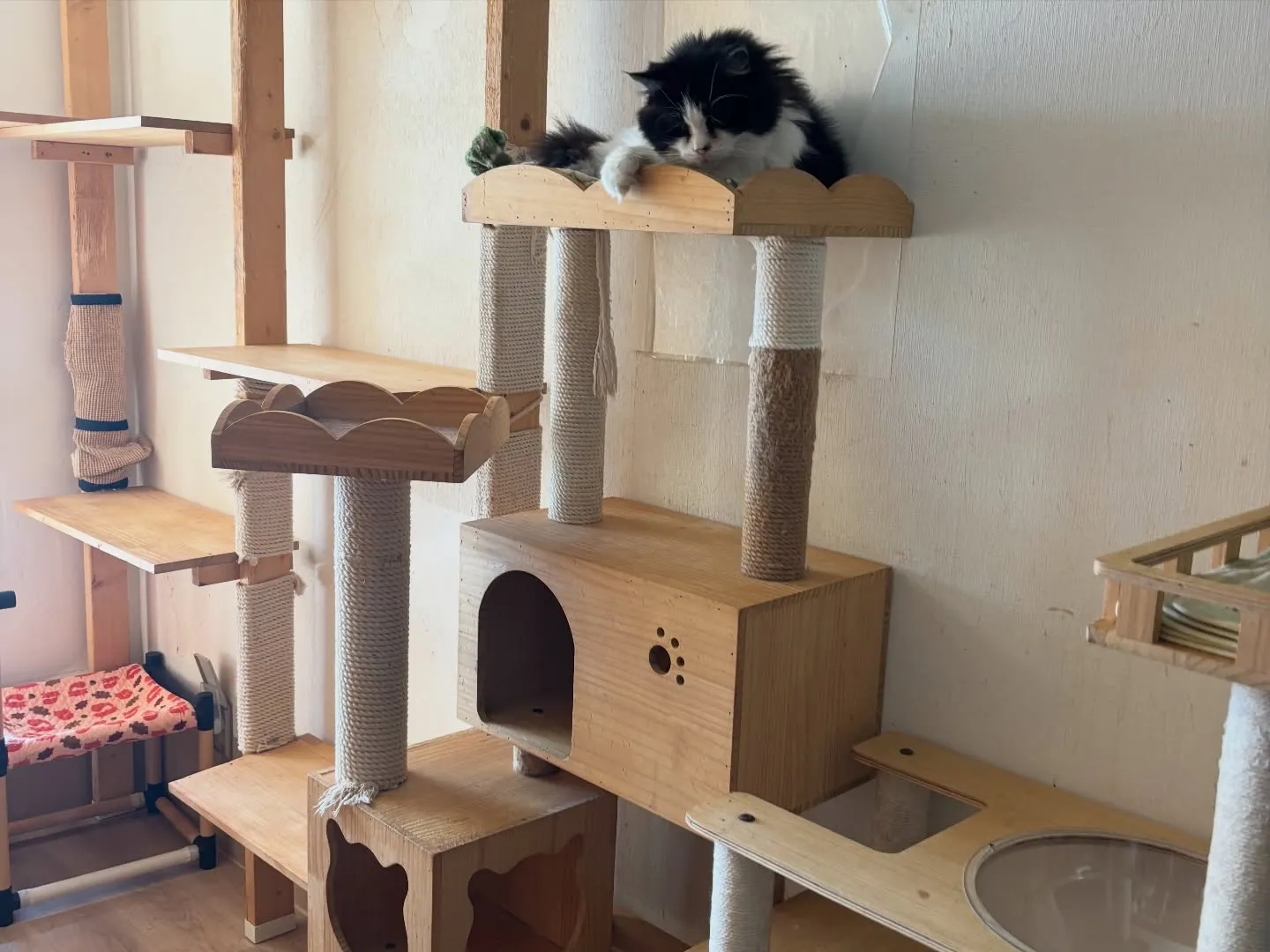 先日ご火葬をお手伝いさせていただいたご家族様より、温かいご厚...