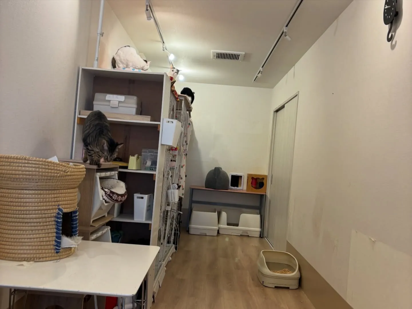 先日ご火葬をお手伝いさせていただいたご家族様より、温かいご厚...