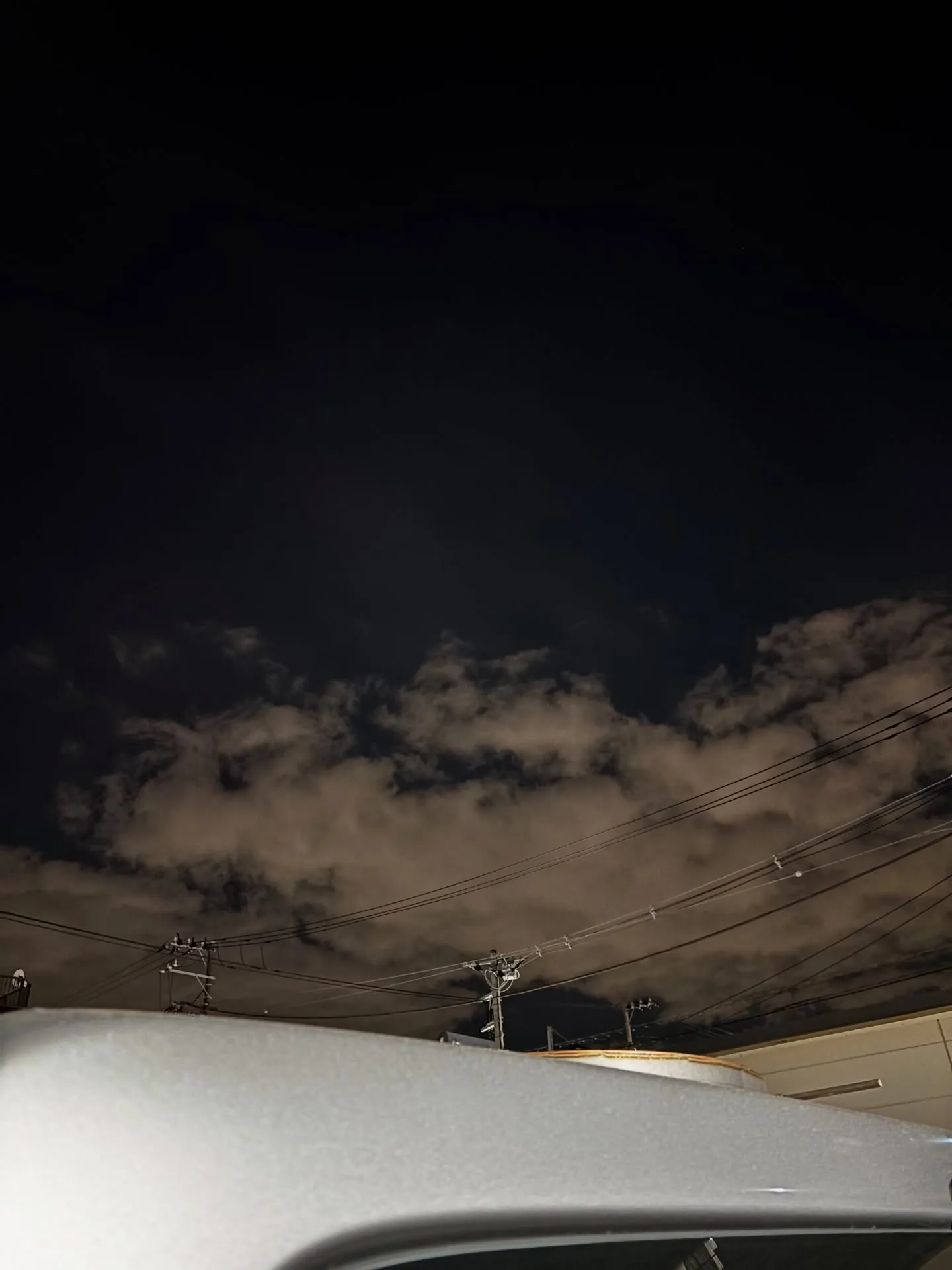 横須賀市にてハムスターちゃんのペット火葬のお手伝いをさせてい...