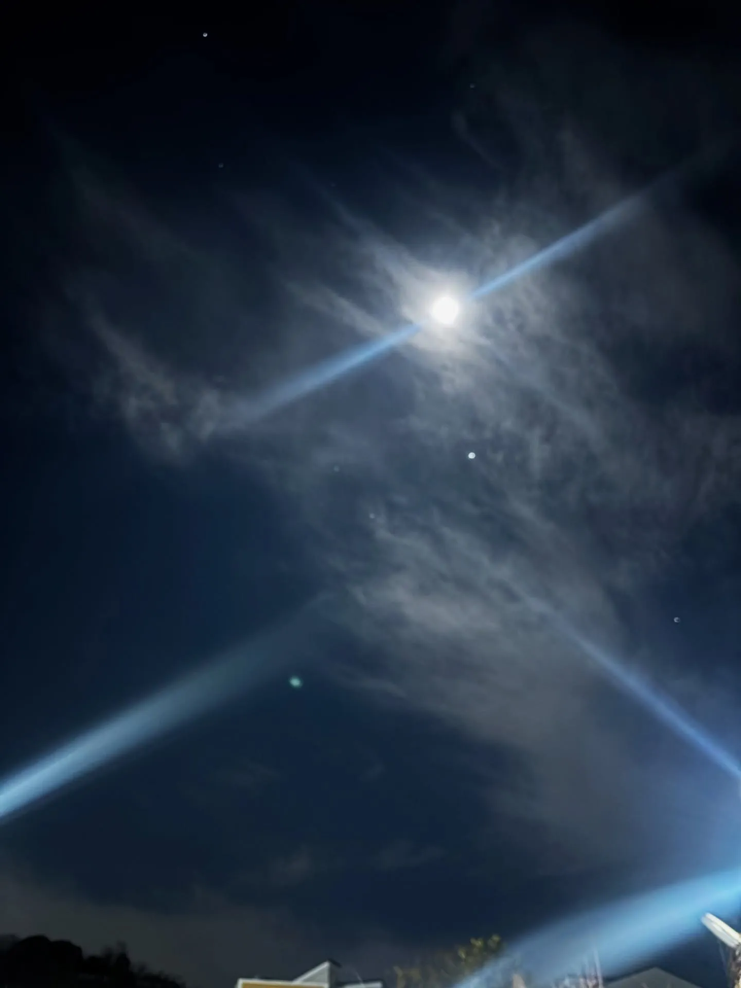 横須賀市にて、大切な家族であるインコちゃんのペット火葬のお手...