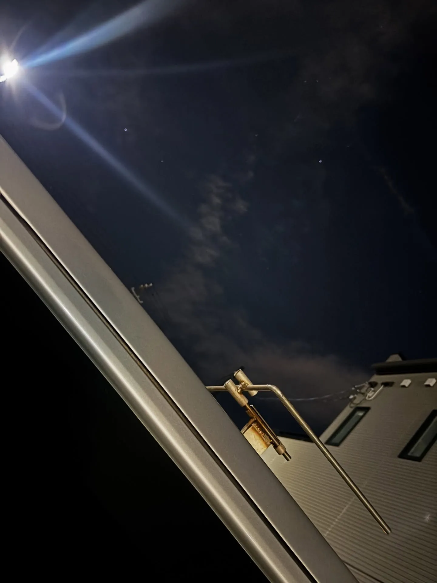 横須賀市で大切に家族の一員であったハムスターちゃんのお見送り...