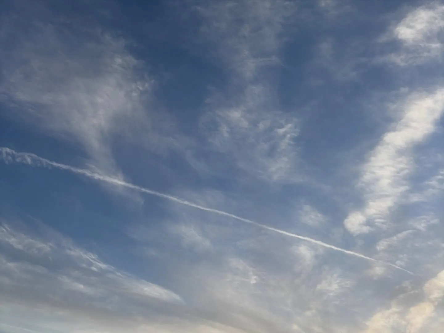 訪問ペット火葬ペットメモリアル神奈川の佐藤です。