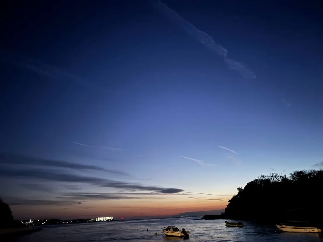 横須賀市にて、大切なわんちゃんのペット火葬をお手伝いさせてい...