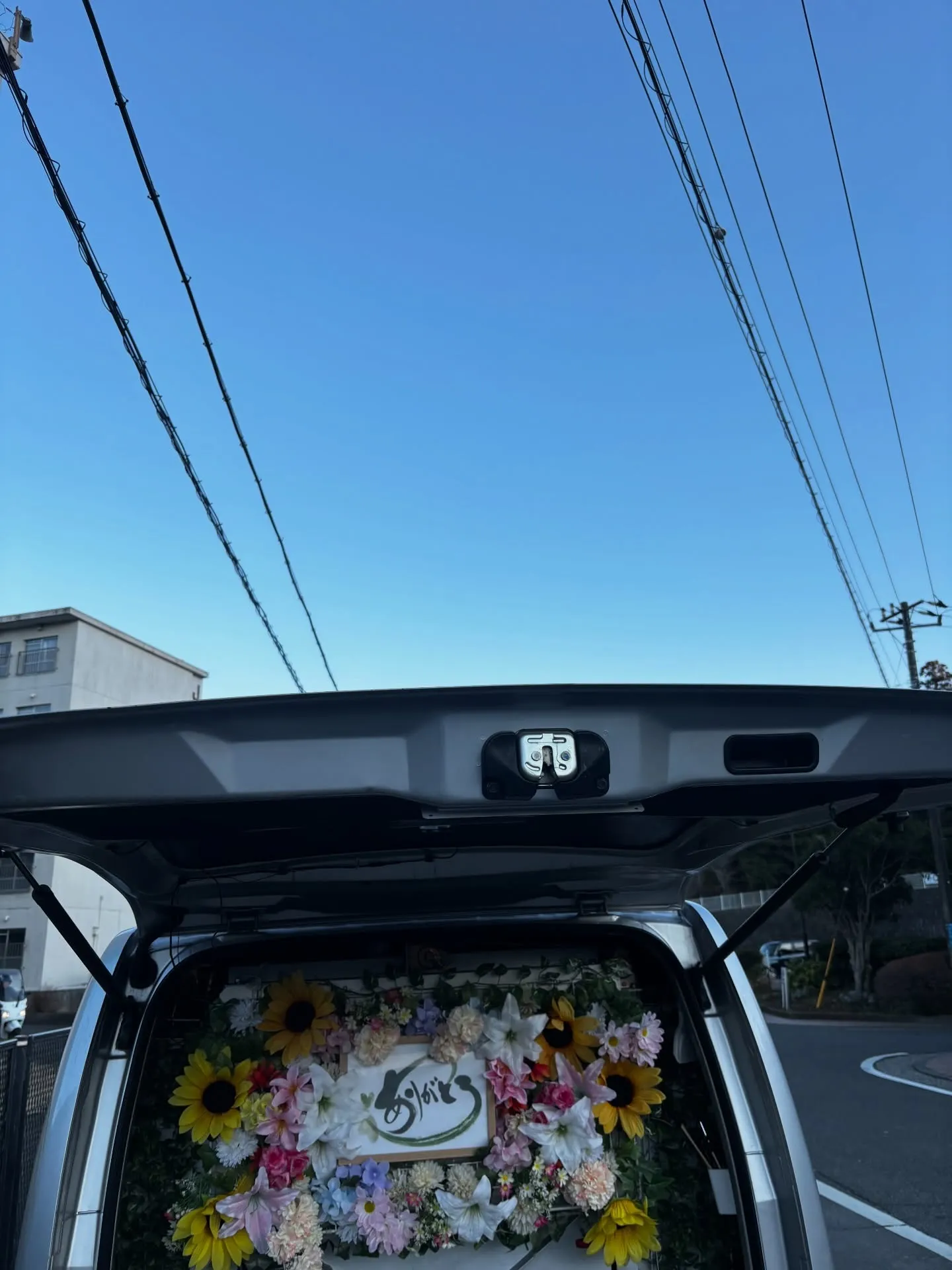 神奈川県横須賀市にて、チワワちゃんのペット火葬をお手伝いさせ...