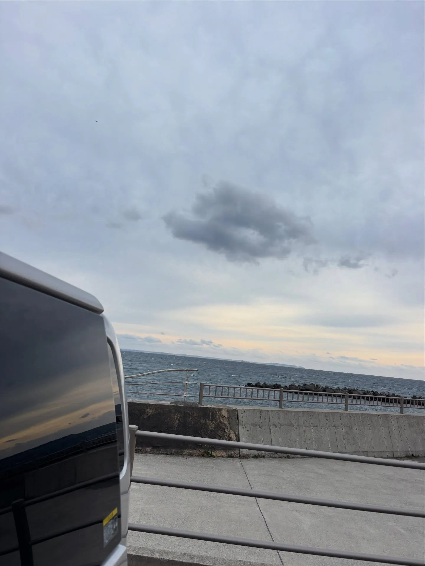 横須賀市から、ミックス犬ちゃんのお見送りのお手伝いをさせてい...