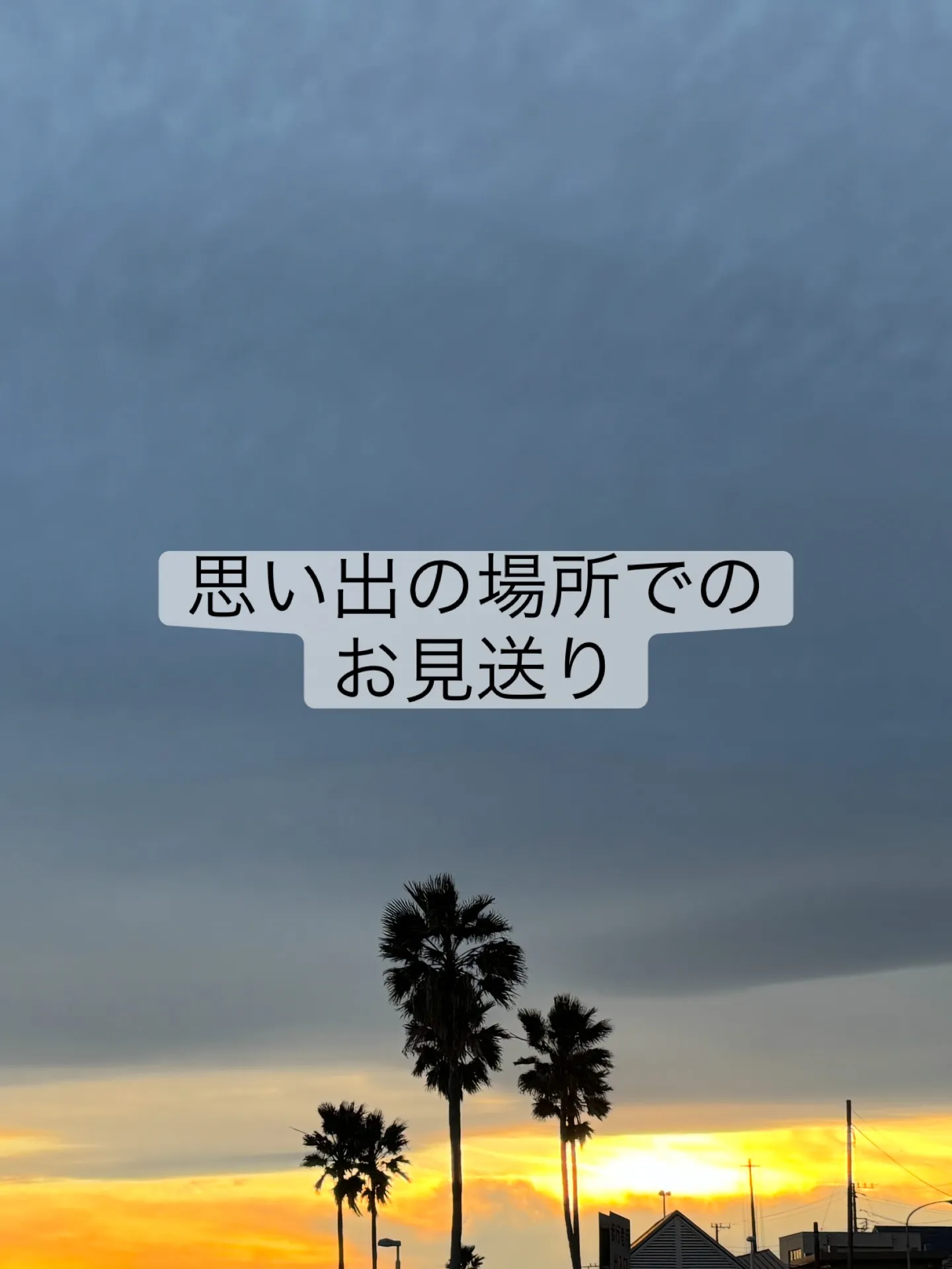 横須賀市から、ミックス犬ちゃんのお見送りのお手伝いをさせてい...