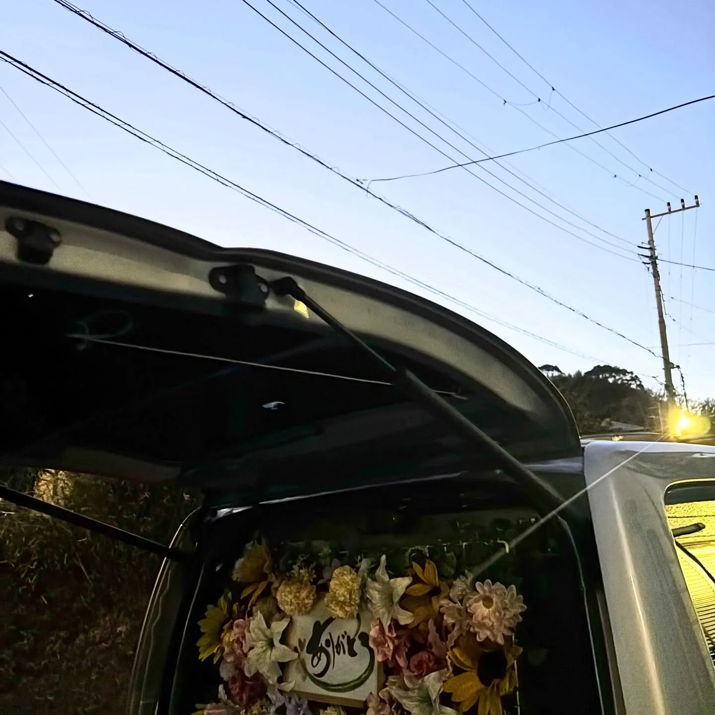 訪問ペット火葬ペットメモリアル神奈川の佐藤です。