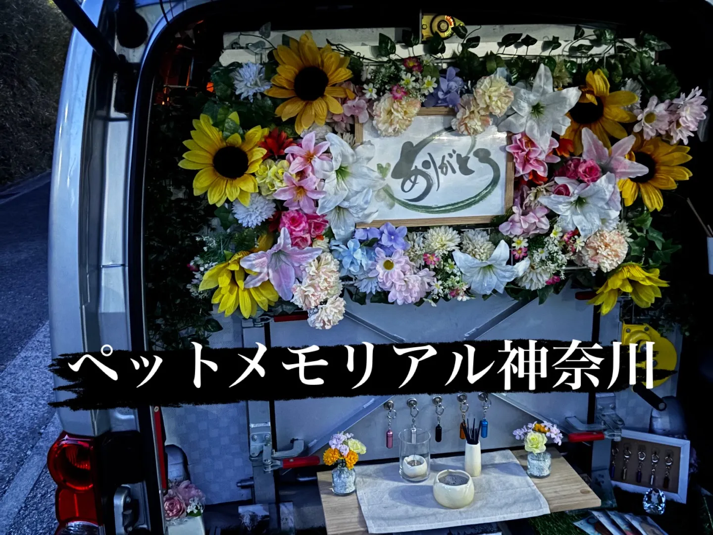 横須賀市にて愛する柴犬の心ちゃんのペット火葬をお手伝いさせて...
