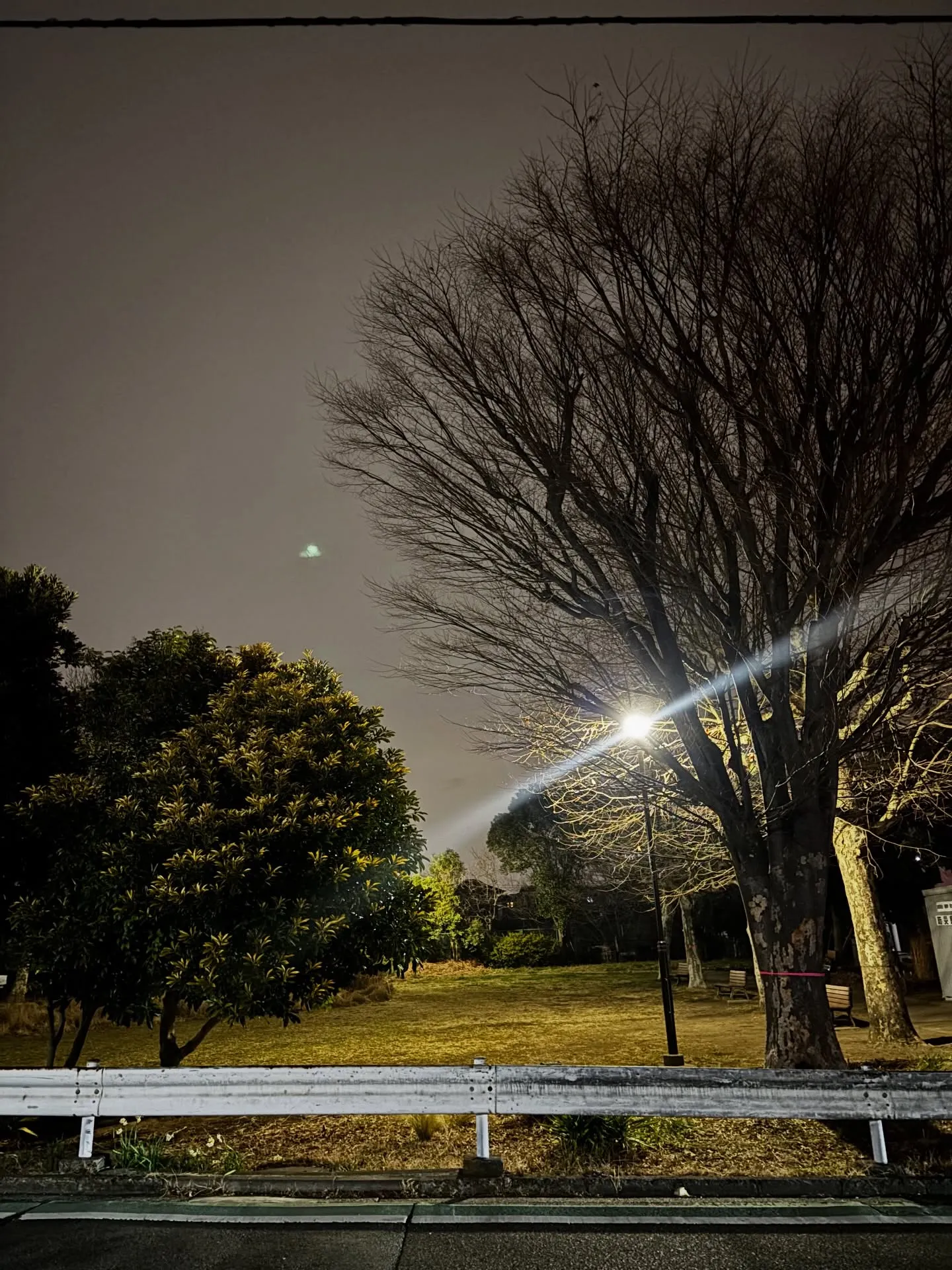 長寿を全うしたポメラニアンちゃんとのお別れを横浜市でお手伝い...