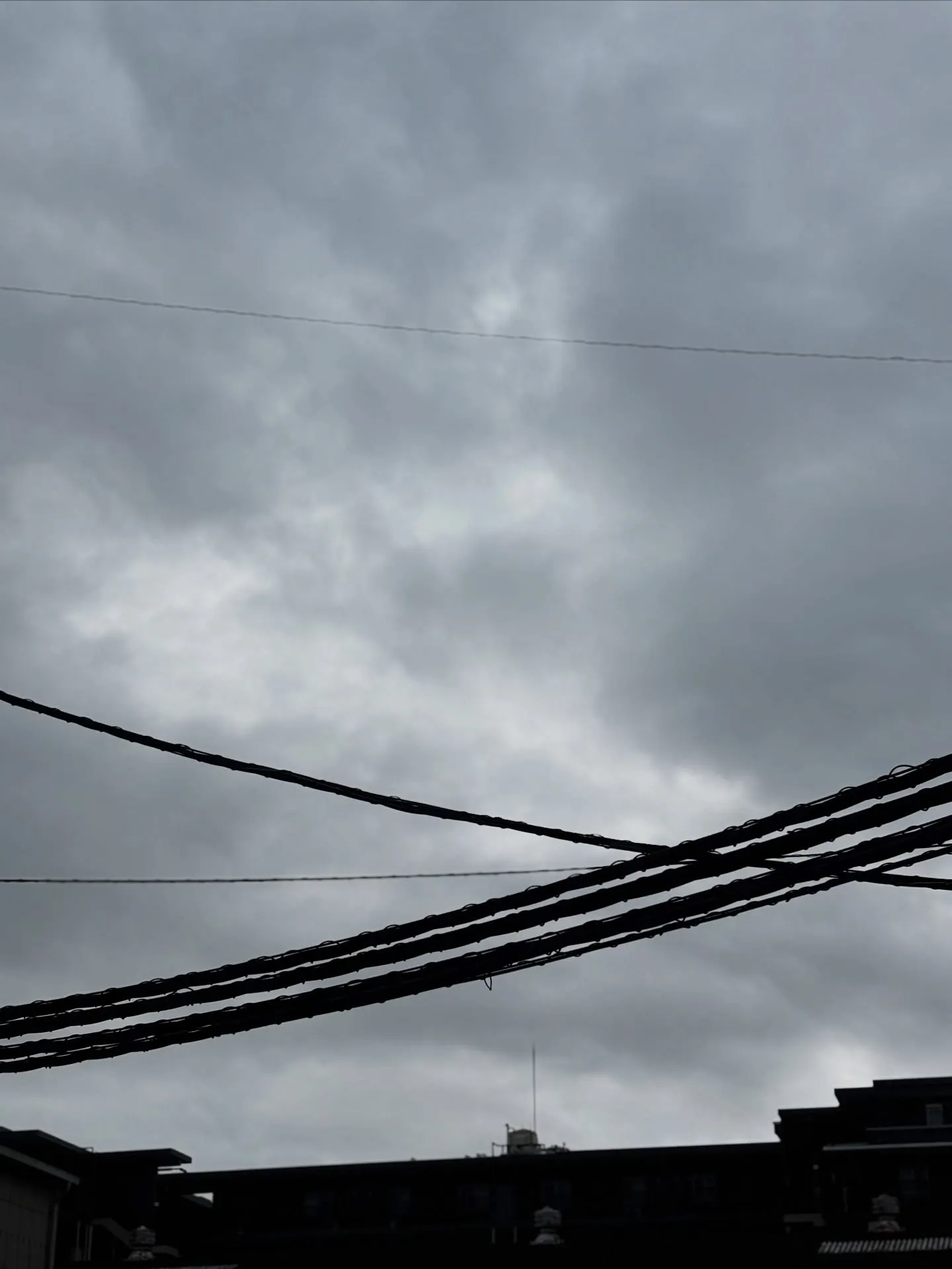 逗子市において、愛されていたハムスターちゃんを虹の橋へとお見...