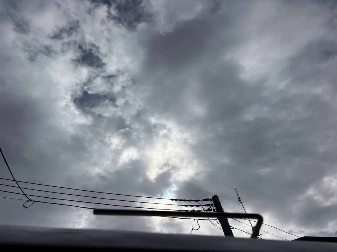 葉山町にて愛らしいトイプードル、リンくんのペット火葬をお手伝...