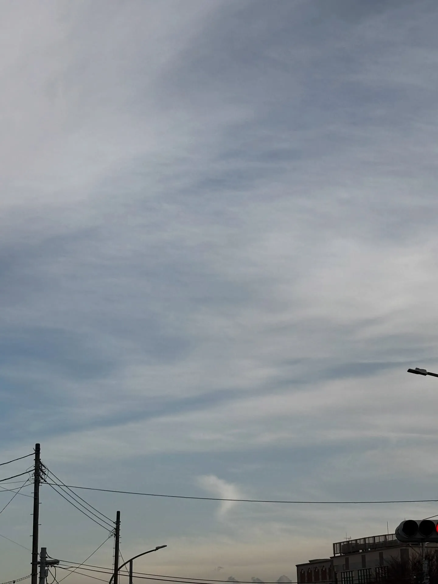 横浜市にて、大切なご家族の一員であるミックス犬のお見送りとペ...