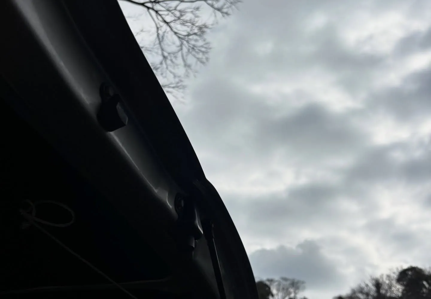 横須賀市にて地域猫として愛されていた猫ちゃんの火葬のお手伝い...