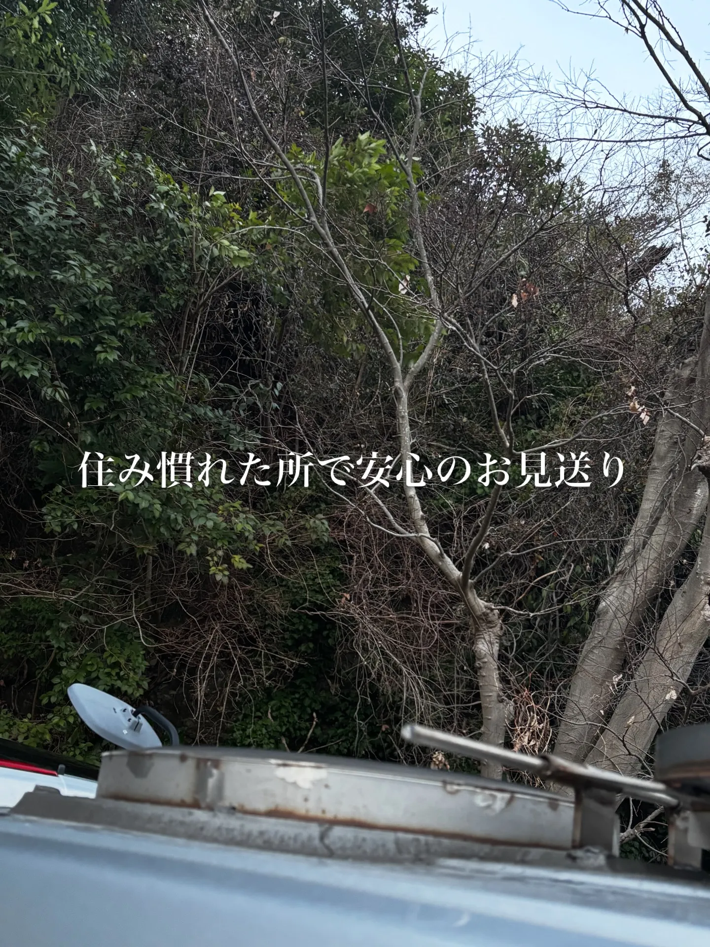 横浜市金沢区にて、リピーター様の猫ちゃんのペット火葬をお手伝...