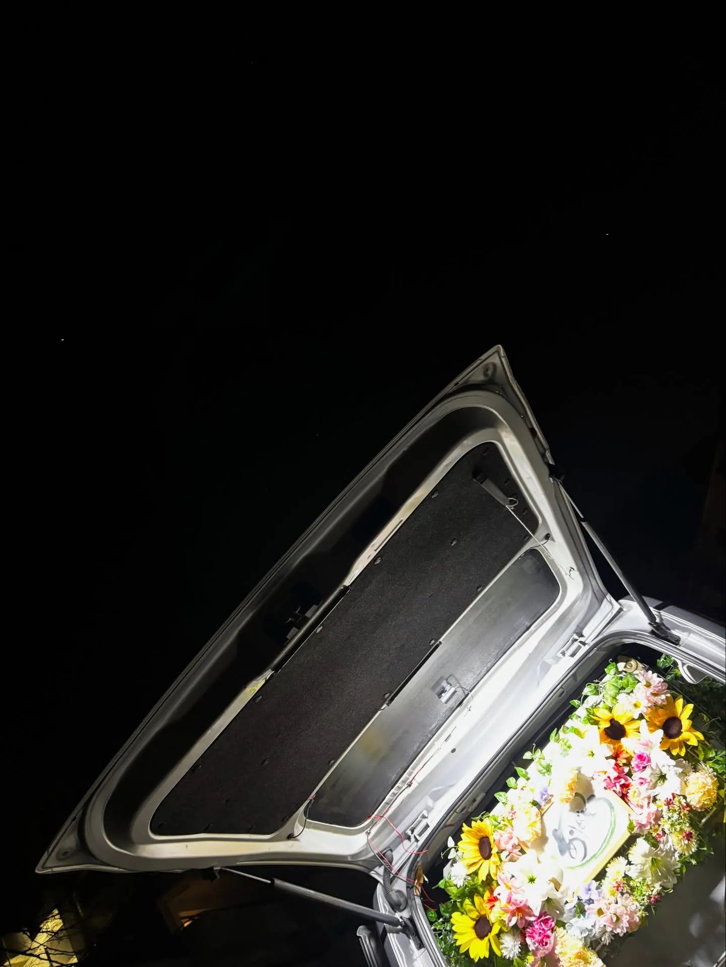 逗子市で、チワワちゃんのペット葬儀と火葬のサポートをさせてい...