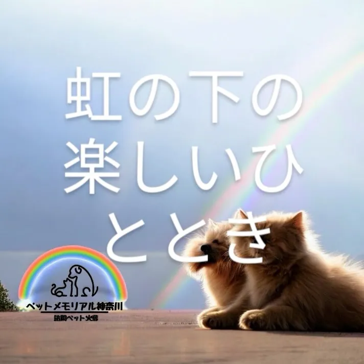 ペットメモリアル神奈川の訪問ペット火葬サービスは、ペットとの...