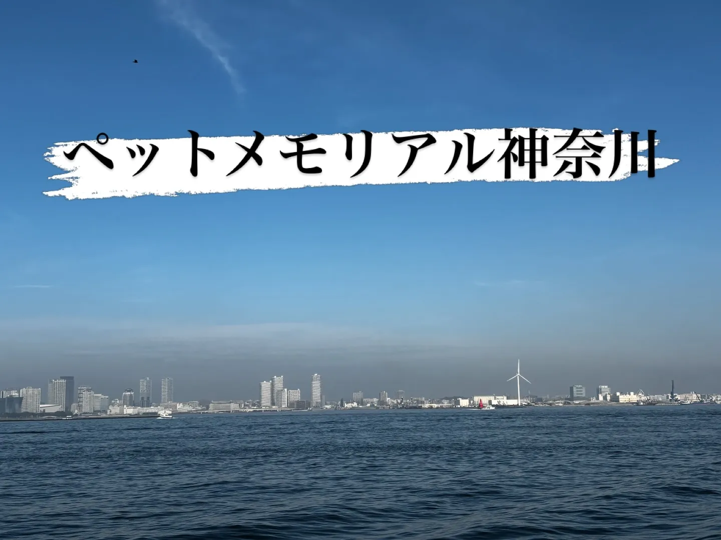 海洋散骨のお手伝いをするためにここに参りました。