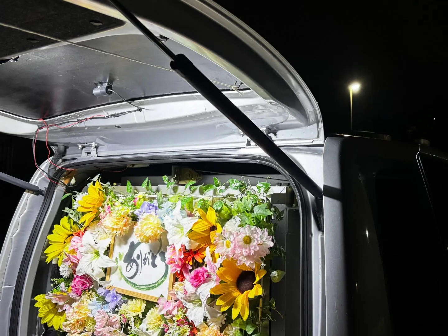 横浜市金沢区にて、愛する猫ちゃんのペット火葬のお手伝いをさせ...