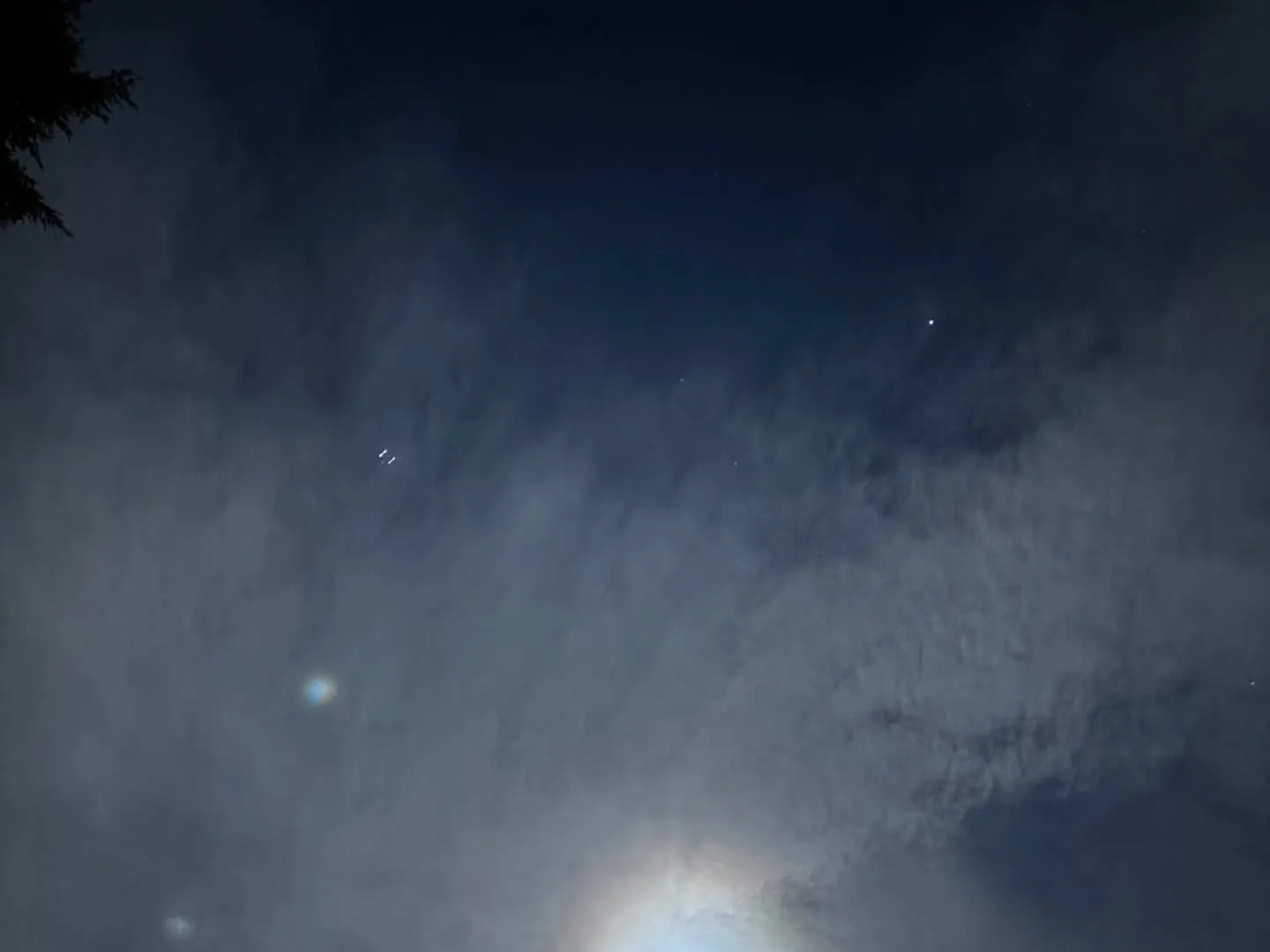 横浜市金沢区にて、愛する猫ちゃんのペット火葬のお手伝いをさせ...