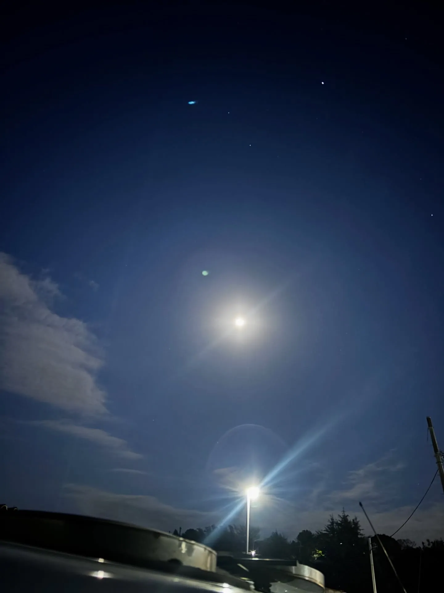 2026年2月、多くの家族にとって、大切なペットを見送る瞬間...