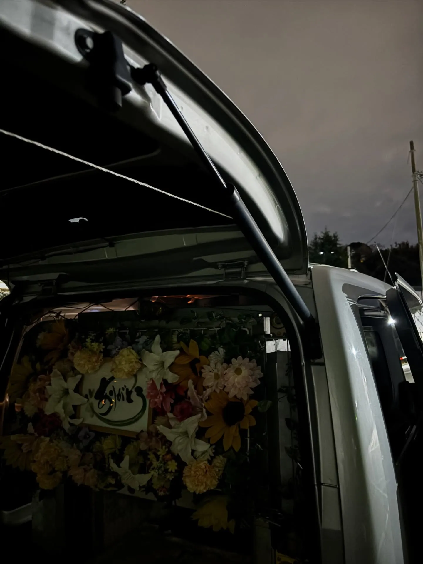 2026年2月、多くの家族にとって、大切なペットを見送る瞬間...