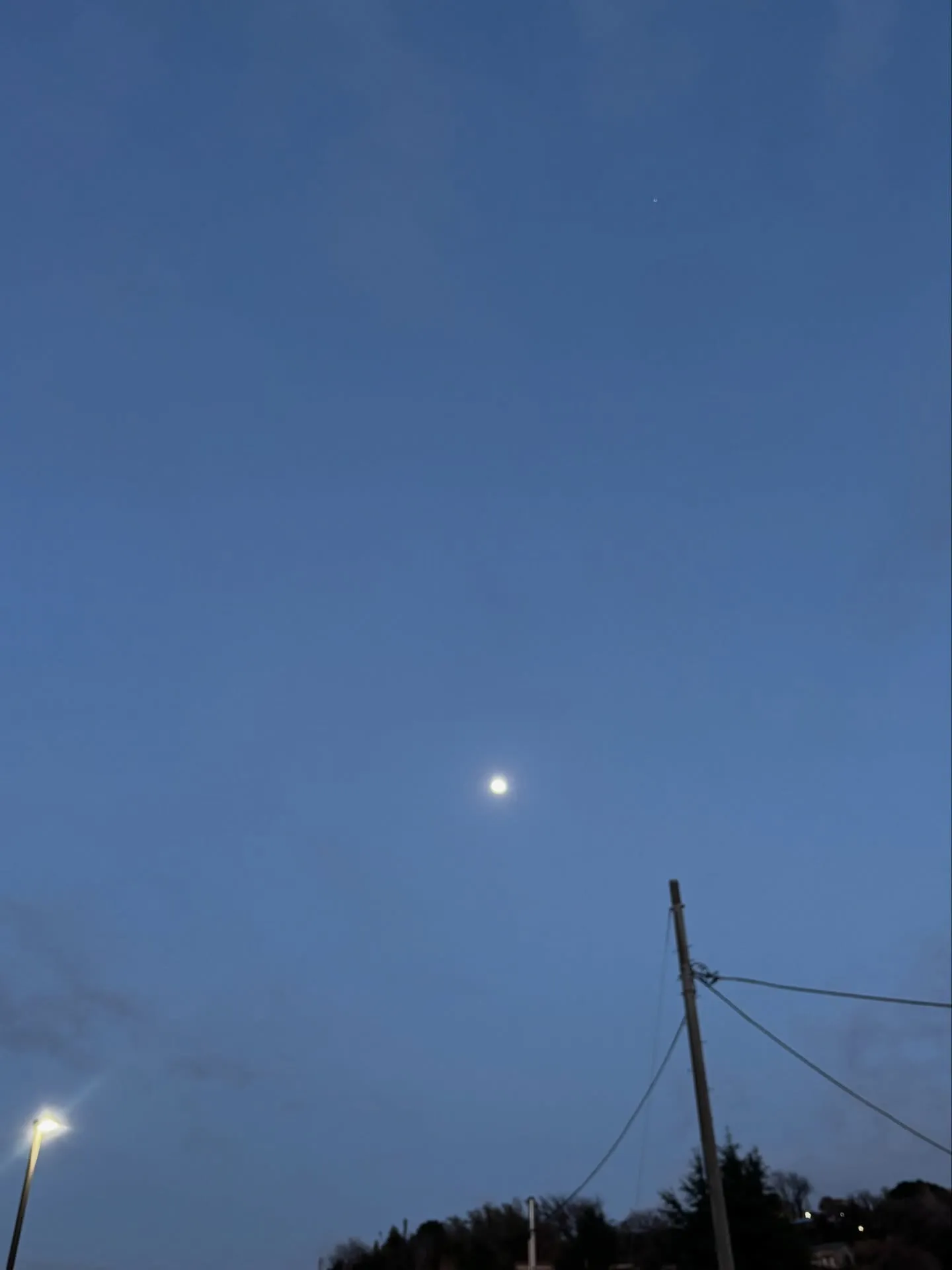 横浜市 金沢区にて、愛らしい猫ちゃんのペット火葬とお別れのセ...