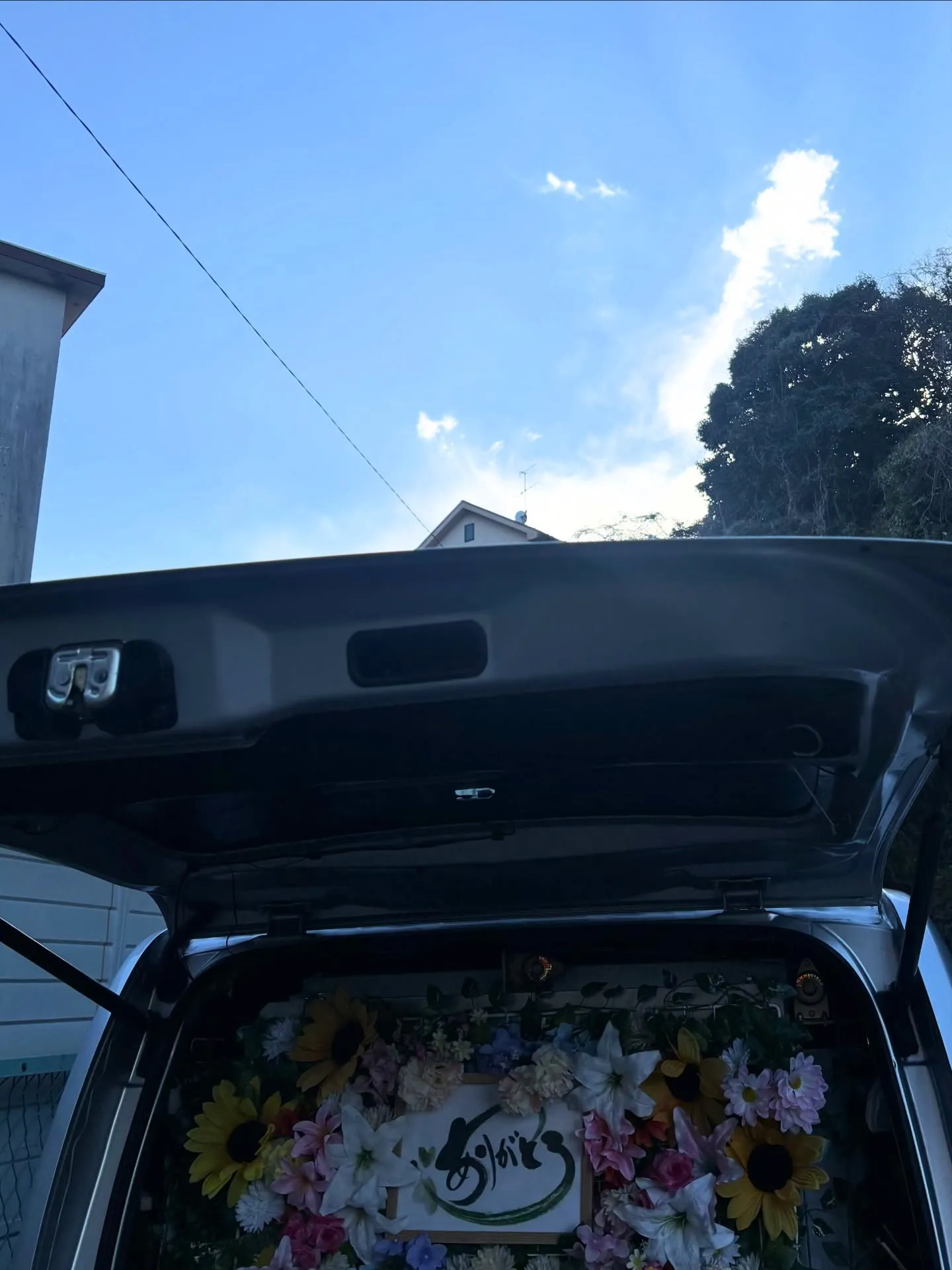 逗子市でミックス犬の旅立ちをお手伝いさせていただきました。