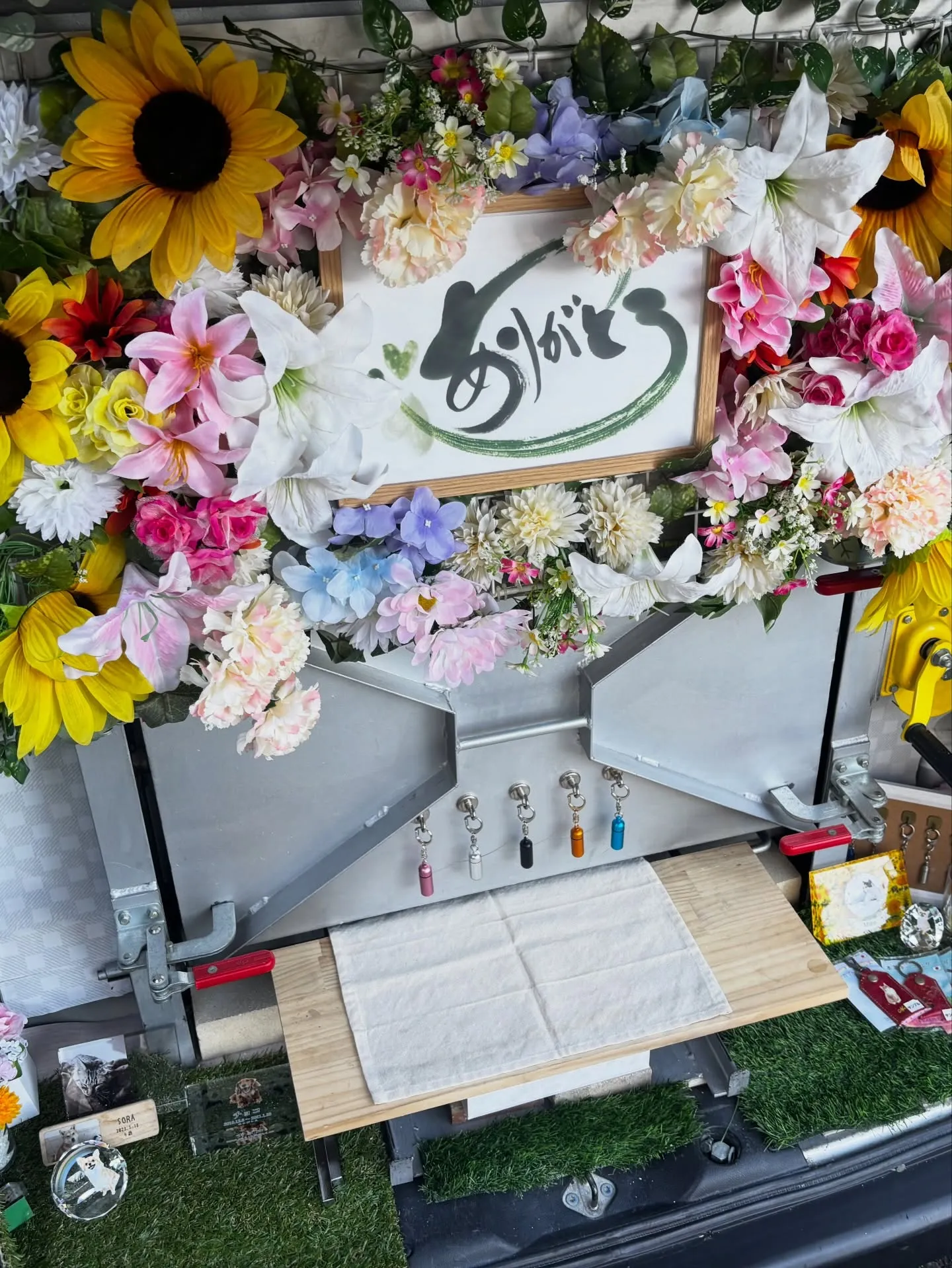 逗子市でミックス犬の旅立ちをお手伝いさせていただきました。