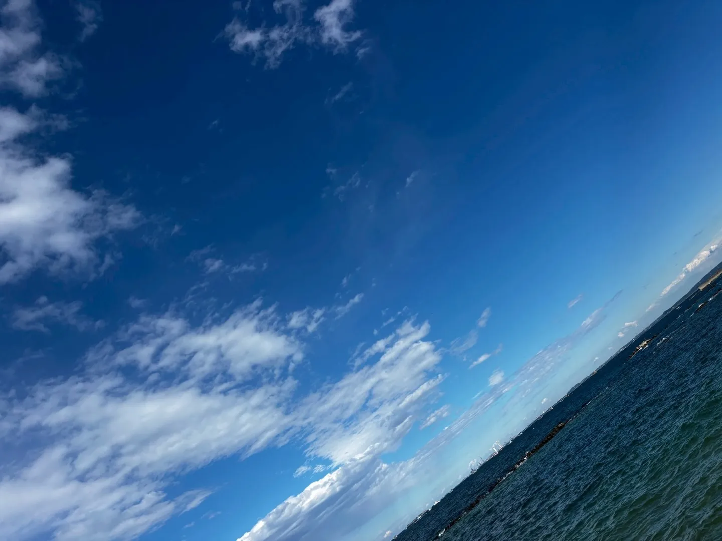 訪問ペット火葬ペットメモリアル神奈川の佐藤です。