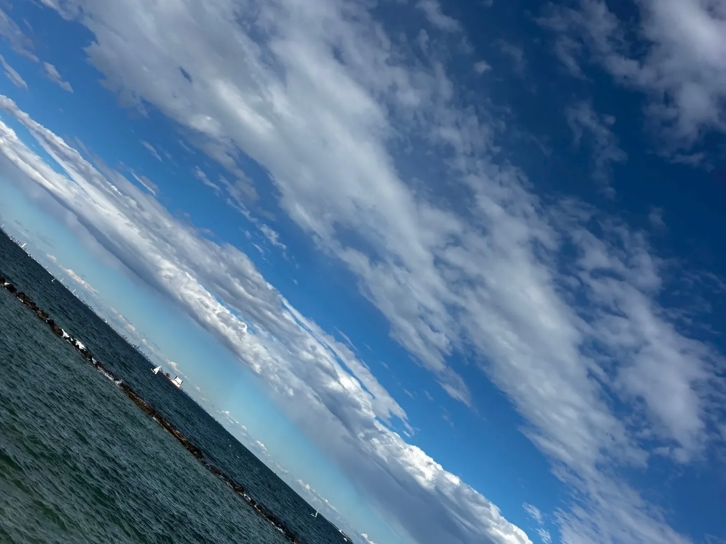 訪問ペット火葬ペットメモリアル神奈川の佐藤です。