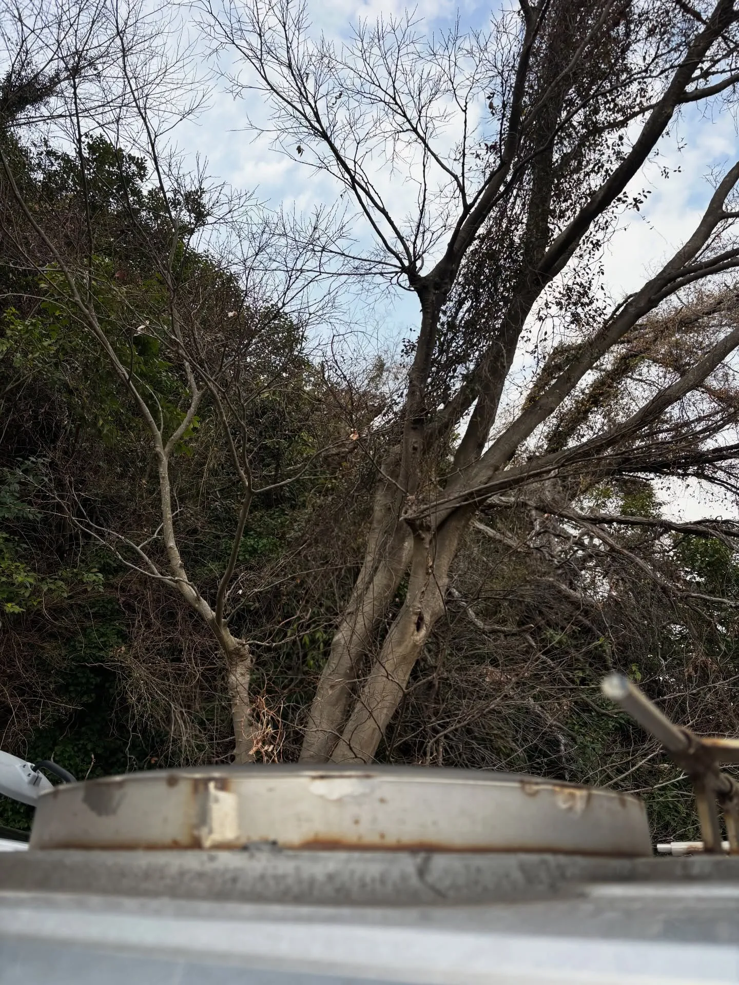 横浜市金沢区でペットを大切にするご家庭から、大切なアメリカン...