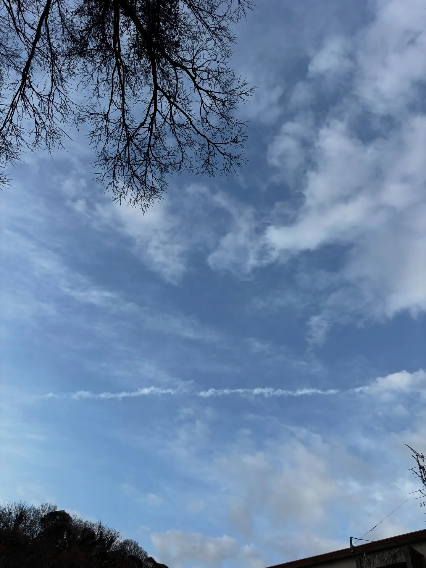 横浜市金沢区でペットを大切にするご家庭から、大切なアメリカン...