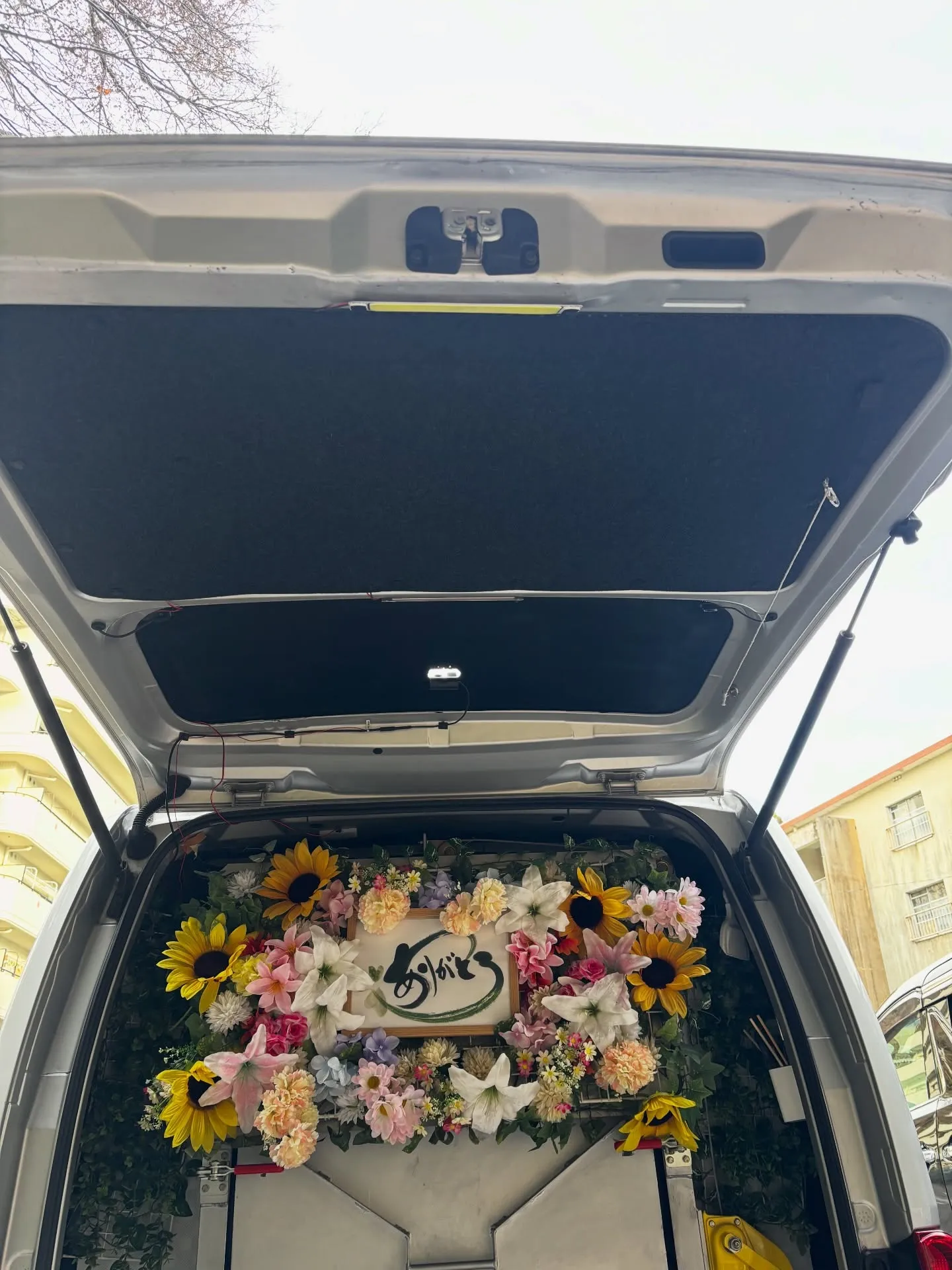 横浜市金沢区でペットを大切にするご家庭から、大切なアメリカン...