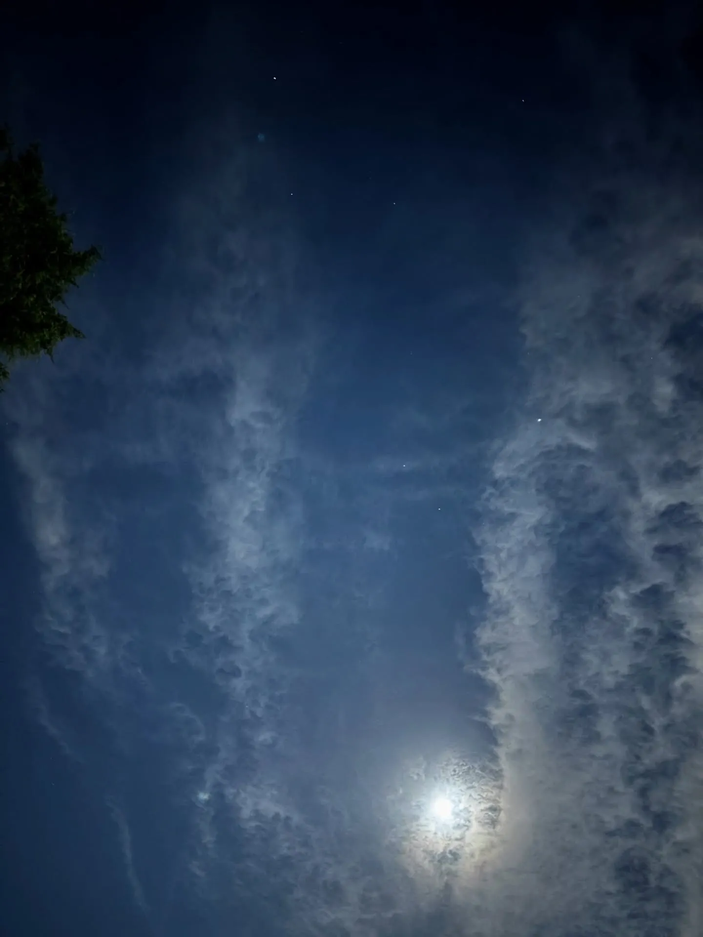 私たちペットメモリアル神奈川は、大切な家族であるペットちゃん...