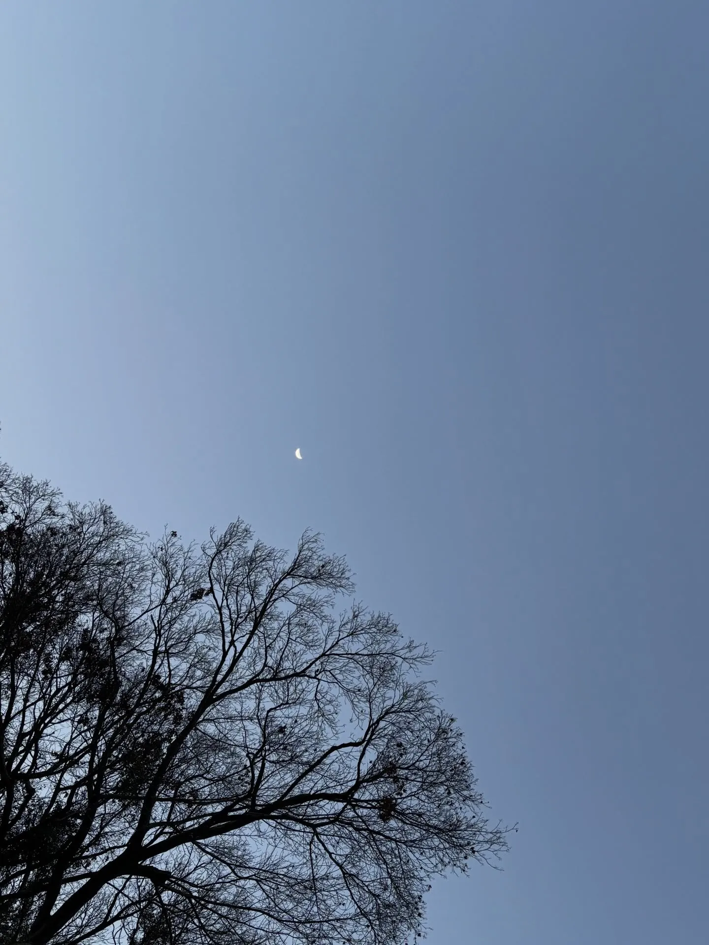 私たちペットメモリアル神奈川は、大切な家族であるペットちゃん...