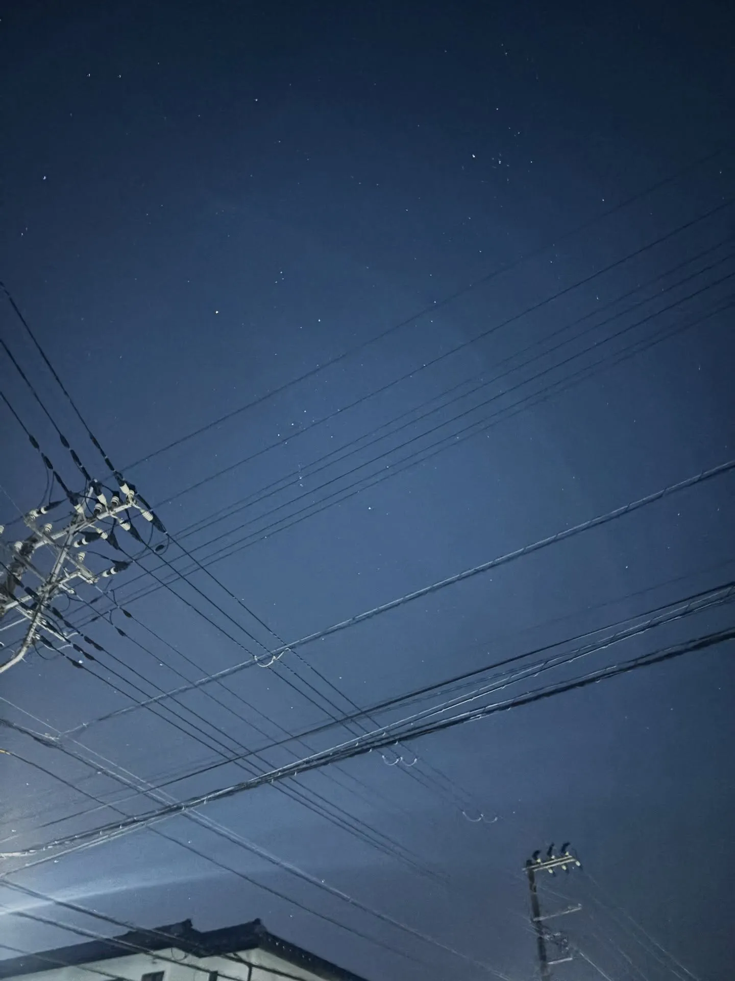 私たちペットメモリアル神奈川は、大切な家族であるペットちゃん...