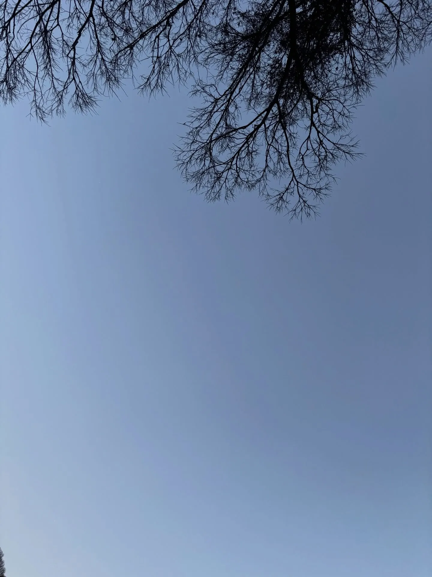 私たちペットメモリアル神奈川は、大切な家族であるペットちゃん...