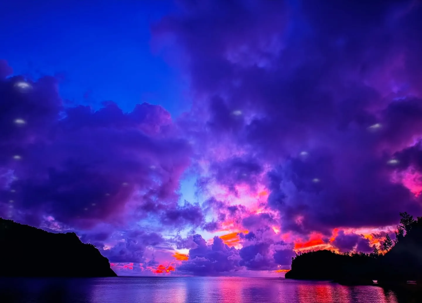 ペットを失った際、火葬までの期間について悩まれる方は少なくあ...