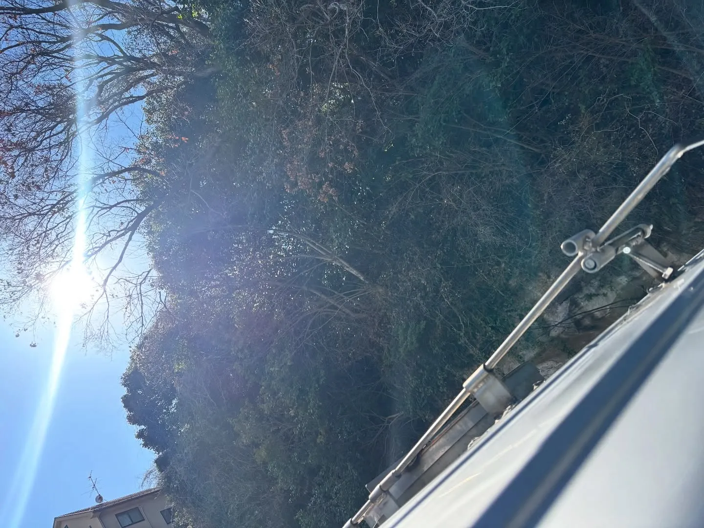 逗子市にて保護猫ちゃんのペット火葬を担当させていただきました...